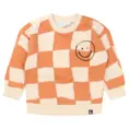 Baby jongens sweatshirt FLINQ