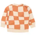 Baby jongens sweatshirt FLINQ