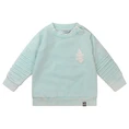 Baby jongens sweatshirt FLINQ