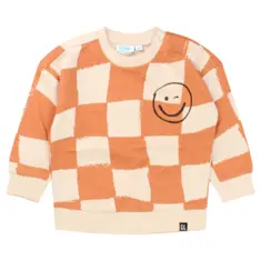 Baby jongens sweatshirt FLINQ
