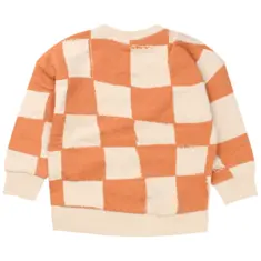 Baby jongens sweatshirt FLINQ