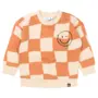 Baby jongens sweatshirt FLINQ