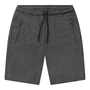 Heren short CARS