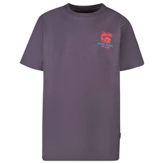 Jongens shirt km CARS