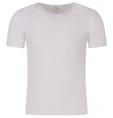 SHIRT PRIVATE LABEL